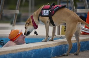 La Covid-19 met des obstacles pour les bénéficiaires de chiens d’assistance